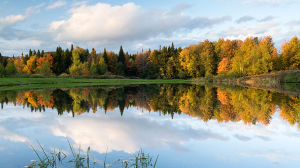 Autumn in Montpelier