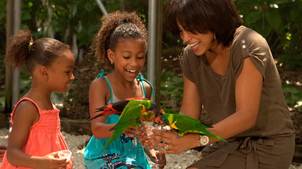 Jungle Island
