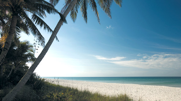 Naples Beach