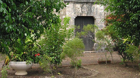 ponce de leon home