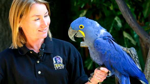 Denver Zoo