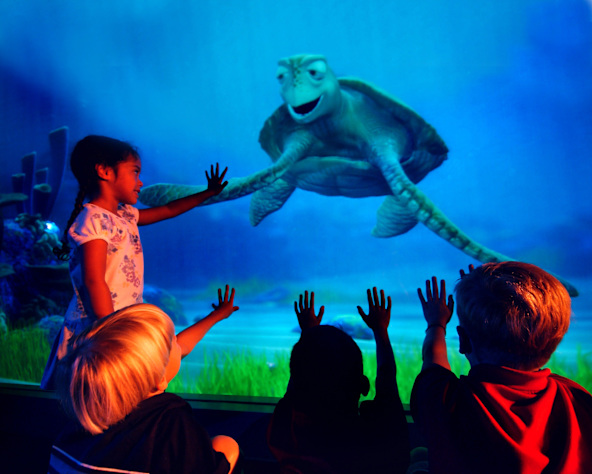Turtle Talk with Crush