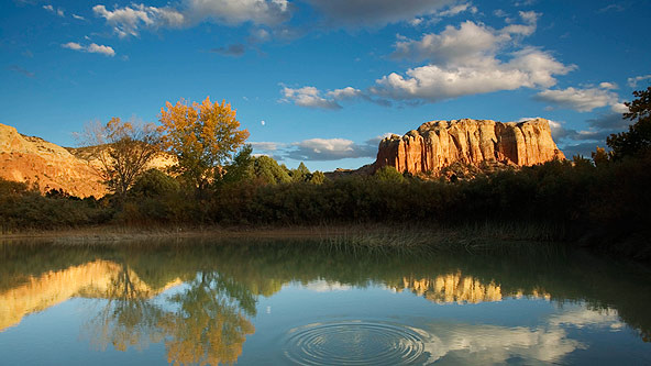 Nature Scene