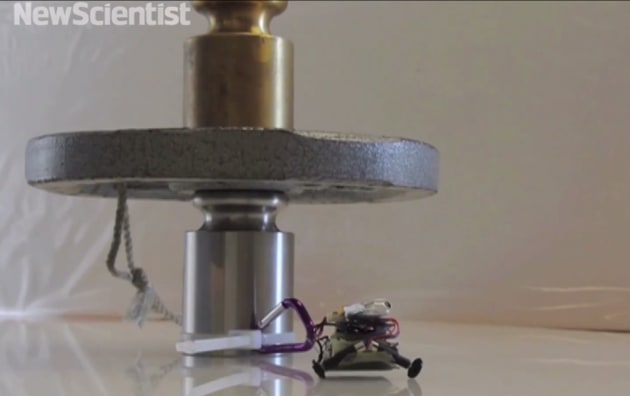 photo of These tiny gecko-inspired robots can lift over 100x their weight image