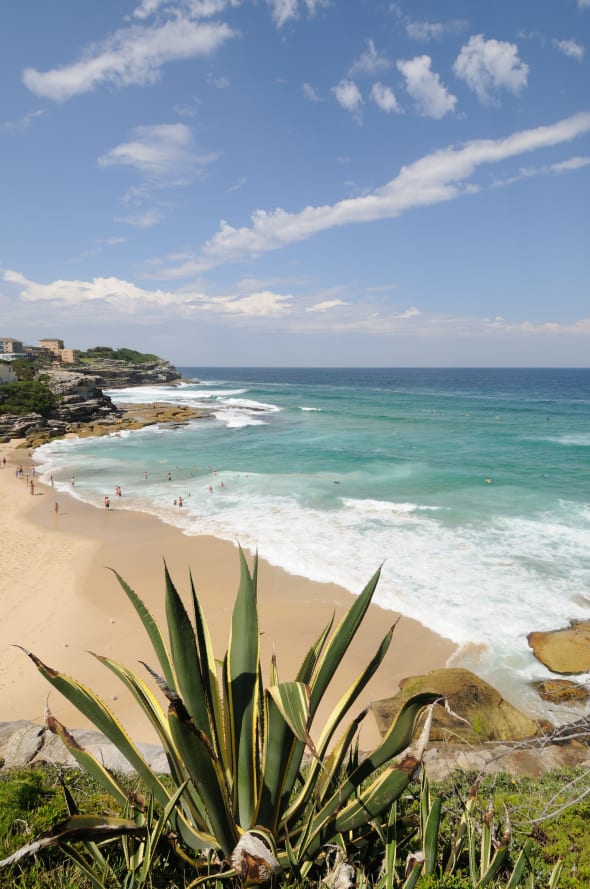 Tamarama Beach