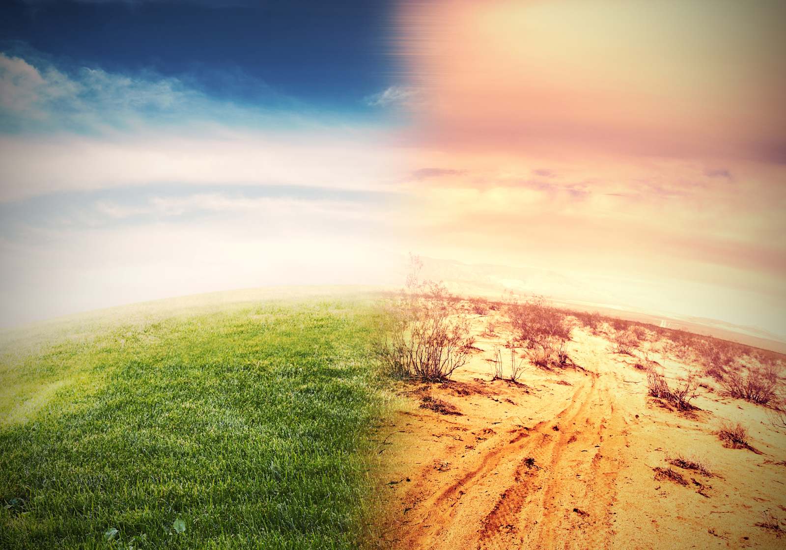 Tech's biggest players tackle climate change despite rollbacks