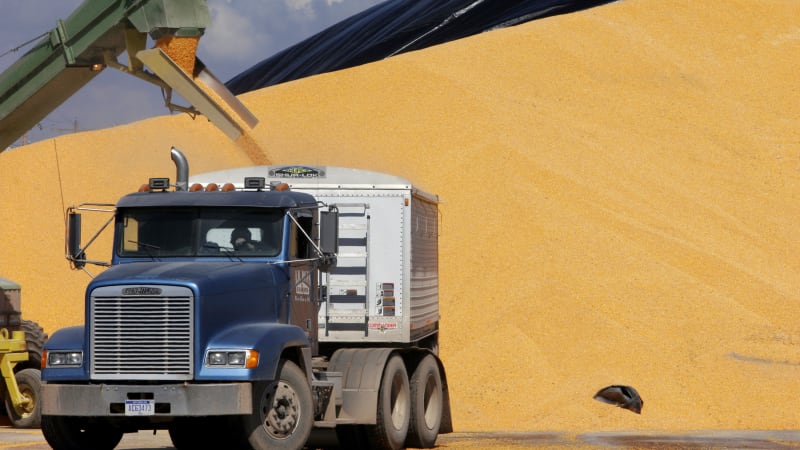 photo of Biofuels like ethanol could be worse than gasoline for the environment image
