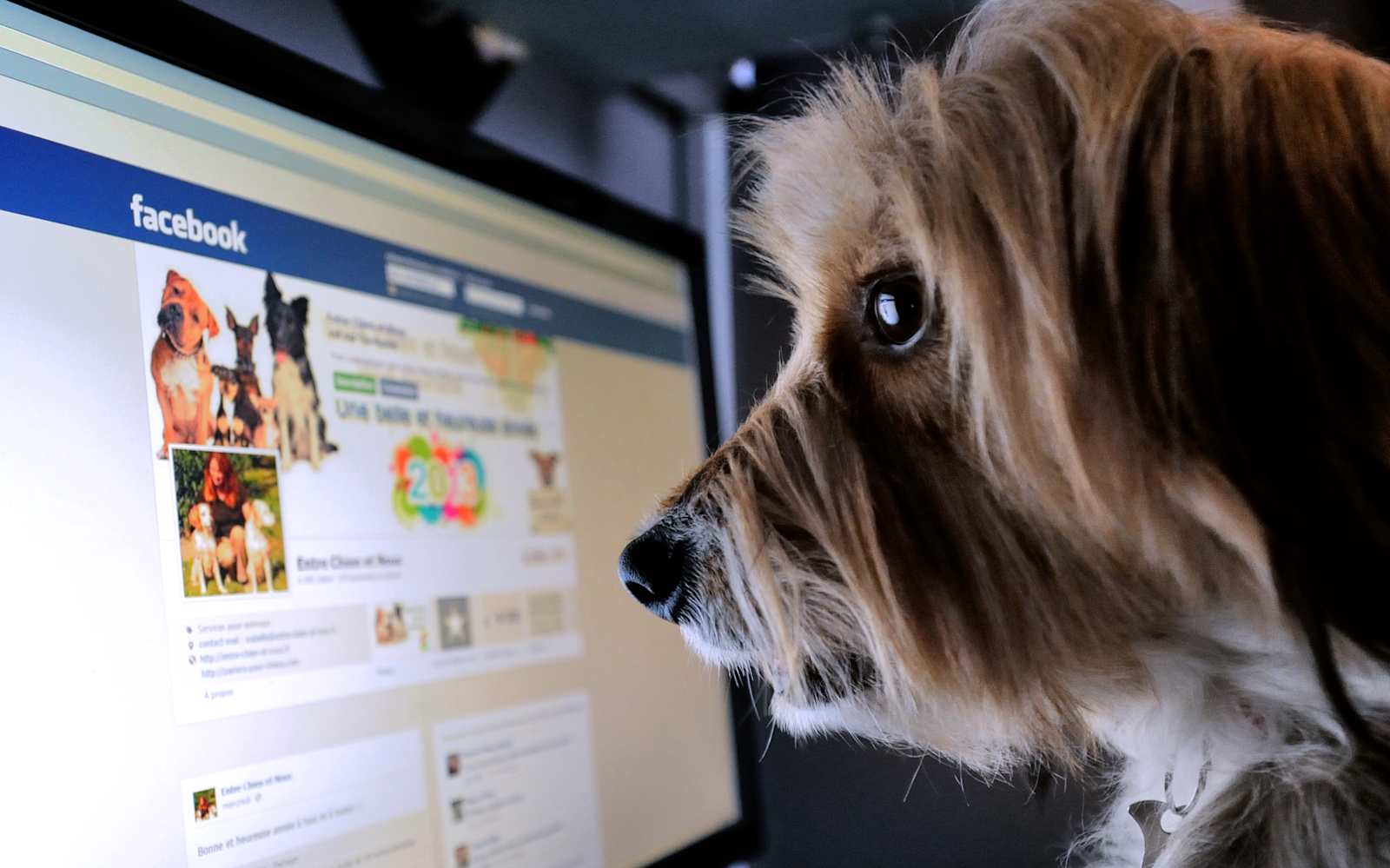 Facebook adds a 'fake news' reporting option