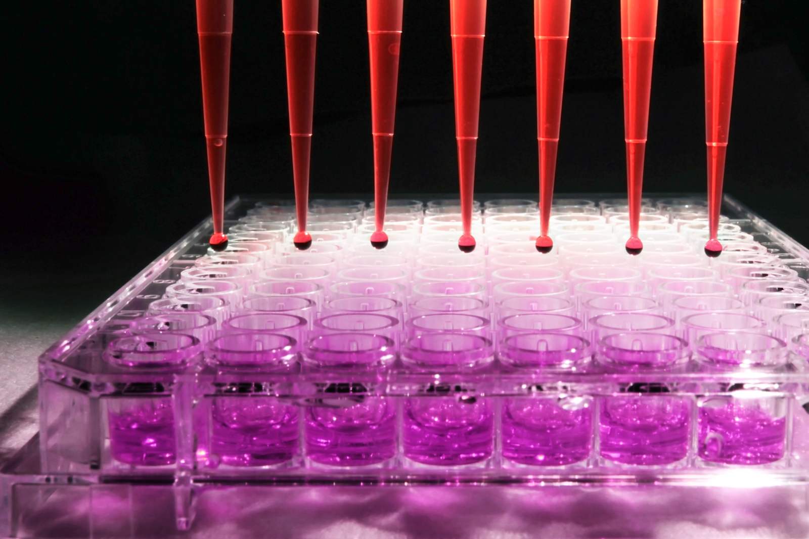 Court documents reveal more shady dealings by Theranos