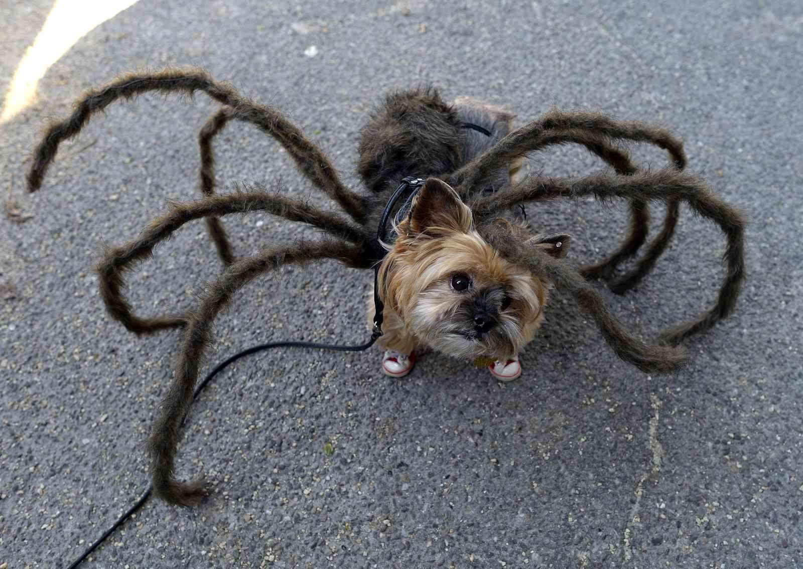After Math: Well that's terrifying