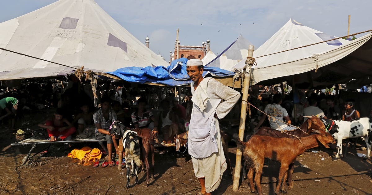 Modi Govt's Crackdown On Illegal Slaughterhouses Causing Unease Among Muslims