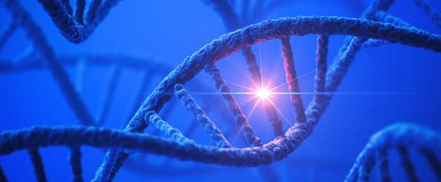 DNA Modification