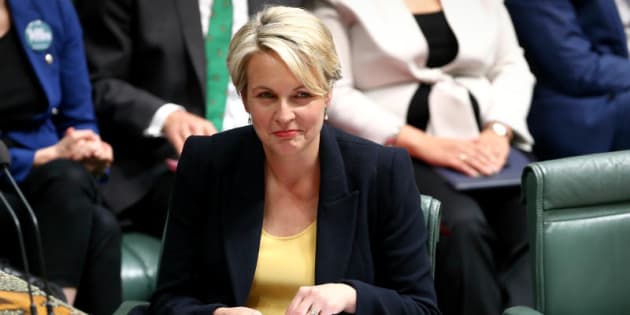 Acting Labor Leader Tanya Plibersek