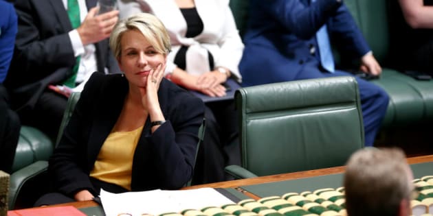 Acting Opposition Leader Tanya Plibersek