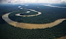 The Tigre river in the Amazon