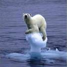 icecapmelting