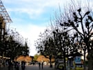 sproul 3