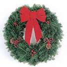 Theme 12/13 - 12/19