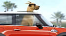 Marmaduke