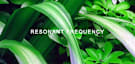 Resonant Frequency #65