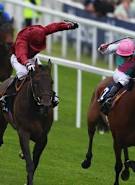Huge entry for 2011 Derby