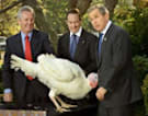 Turkey pardons Bush