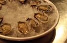 Oysters