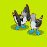 Tiki Farm releases a pair of boobies -- no joke!