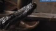  On Thursday's episode of “Swamp People,” Troy Landry learned that even after years of hunting gators, the swamp is still full of surprises. While Troy was hauling what h...