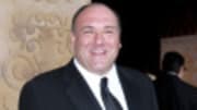  Having bossed the crime underground of New Jersey, James Gandolfini is, believe it or not, headed to perhaps an even crazier secret world. The former 