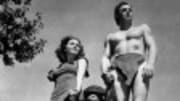  PALM HARBOR, Fla. &mdash; A Florida animal sanctuary says Cheetah, the chimpanzee sidekick in the Tarzan movies of the early 1930s, has died at 80. But other accounts ca...