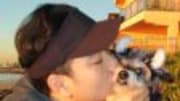  For many people, pets aren't just animals -- they're members of the family. But would you go so far as to clone Fido after he'd passed away? TLC's latest special, aptly ...