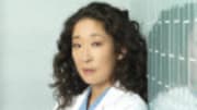  Truth be told, I haven't watched much of this season's Grey's Anatomy, but I did happen to catch last week's episode, which pretty much caught me up on all that I had mi...