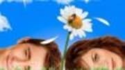  ABC has canceled Pushing Daisies, executive producer Bryan Fuller confirms to me exclusively. According to our inside sources, Eli Stone and Dirty Sexy Money have also b...