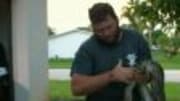  Working in the Florida Everglades, the 