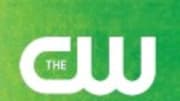  Every year, the five major broadcast networks (ABC, CBS, The CW, Fox and NBC) order pilots to be considered for the fall season. A pilot, as you may know, is the first e...