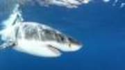  Discovery Channel has just announced its 2012-2013 slate, and 