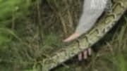  On 