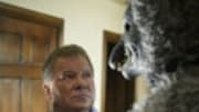  William Shatner isn't exactly a normal guy. He's played a captain on 