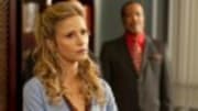  Starting this week the summer brings us the final six episodes of The Closer on TNT. But as this old show goes out, a new show comes in. Perception, a new drama starring...