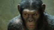  Matt Reeves, J Blakeson, Juan Carlos Fresnadillo, Jeff Nichols, Guillermo del Toro and Juan Antonio Bayona: One of them will become the Francis Lawrence of the 