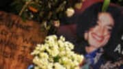  As I said in my earlier blog, Michael Jackson's 2002 will was a relatively standard will.  Perhaps the most controversial issue is Jackson's decision regarding who he ch...