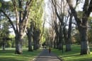 メールアドレスを与えられた公園の木、人と会話を始める