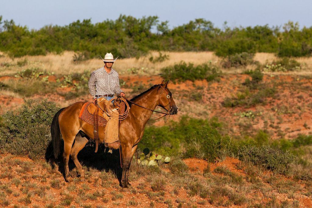 Famed Waggoner Ranch on Texas Market for 725 Million Financial News USA