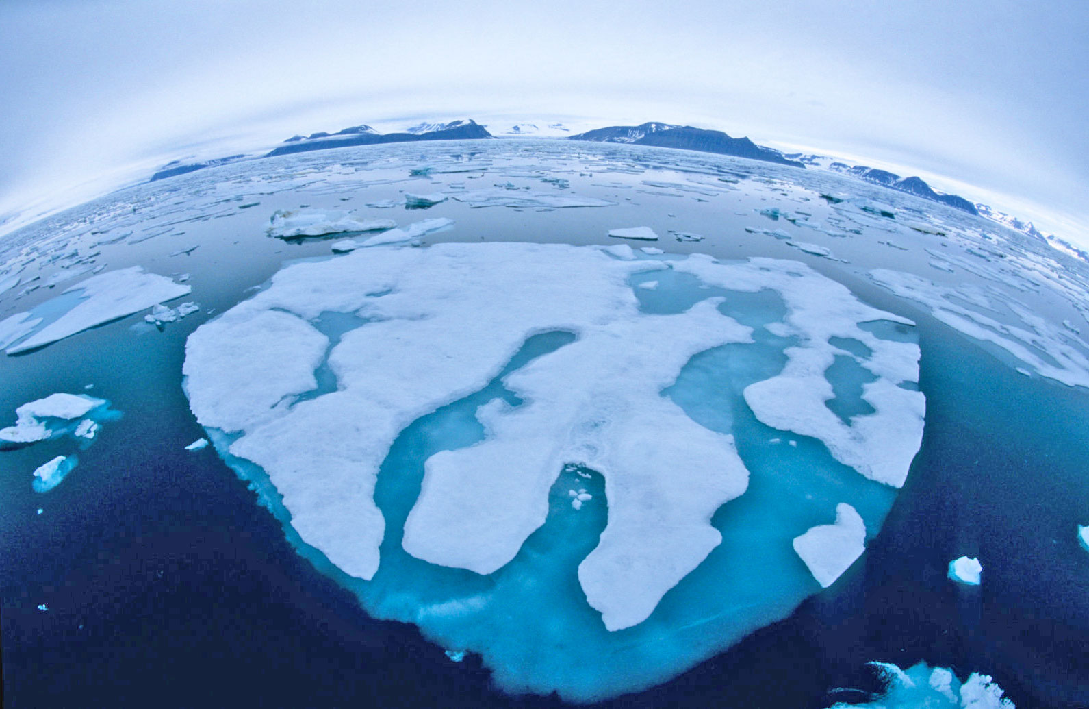Federal scientists: US already feeling effects of climate change
