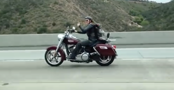 Dog spotted on motorbike at 70mph (video)