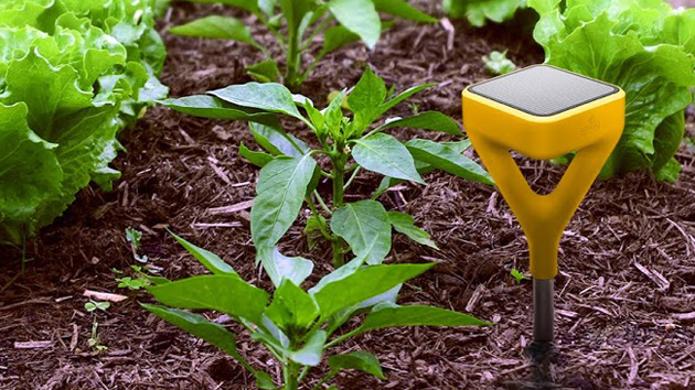 Edyn&#039;s smart gardening system gives your plants exactly what they need