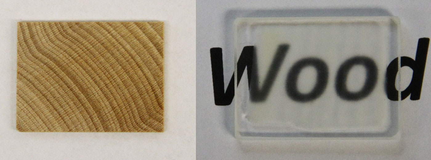 Scientists made see-through wood that&#039;s stronger than glass