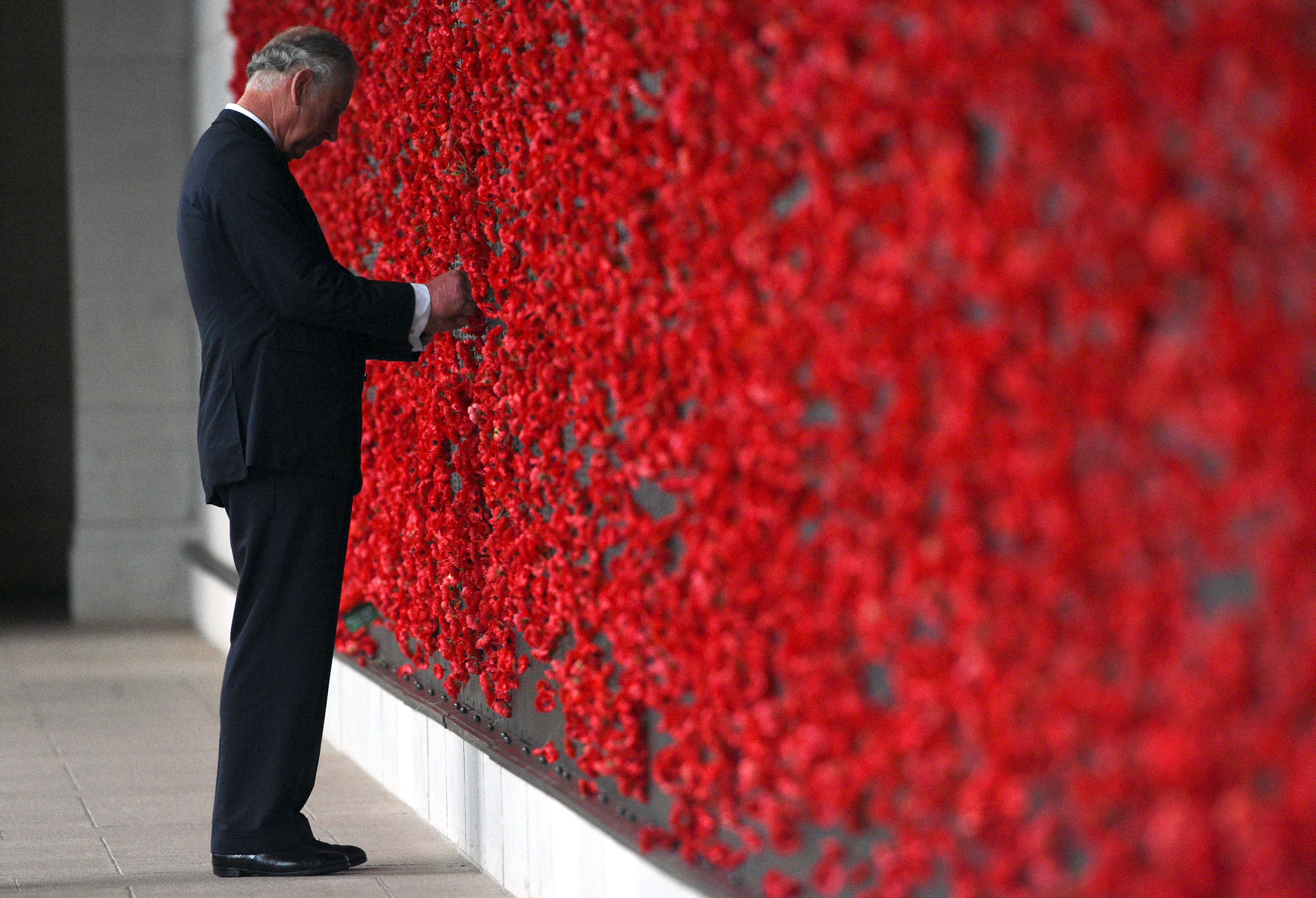 Why We Wear Poppies On Remembrance Day