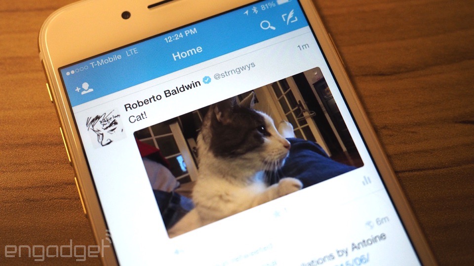 Autoplay on Twitter for iOS